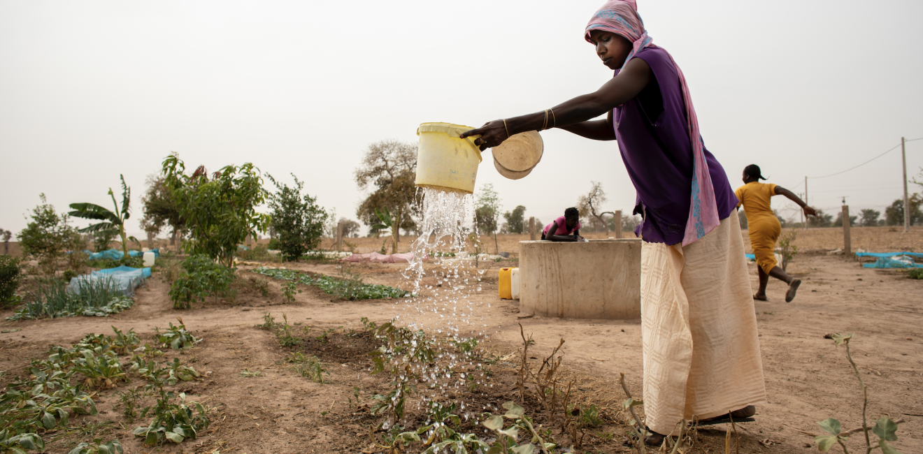 Woman watering crops in Senegal.