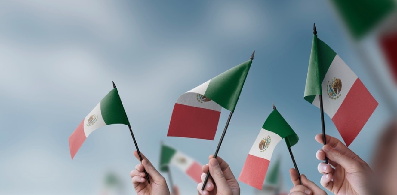 A group of people holding small flags of the Mexico in their hands.