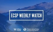 NSB Weekly Watch Graphic