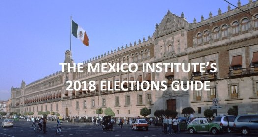 Elections Guide Banner