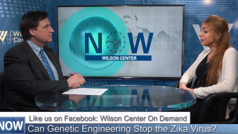 Can Genetic Engineering Stop the Zika Virus?