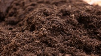 Pile of soil