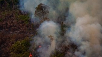 Image  - Fire in the Amazon