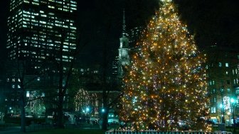Boston Commons Christmas Tree