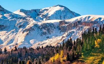 Snow covered mountains with fall forest