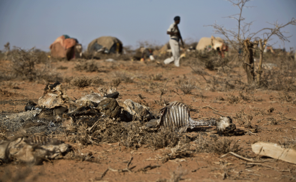 Impact of drought in Somaliland