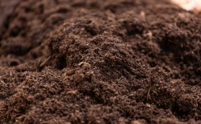 Pile of soil