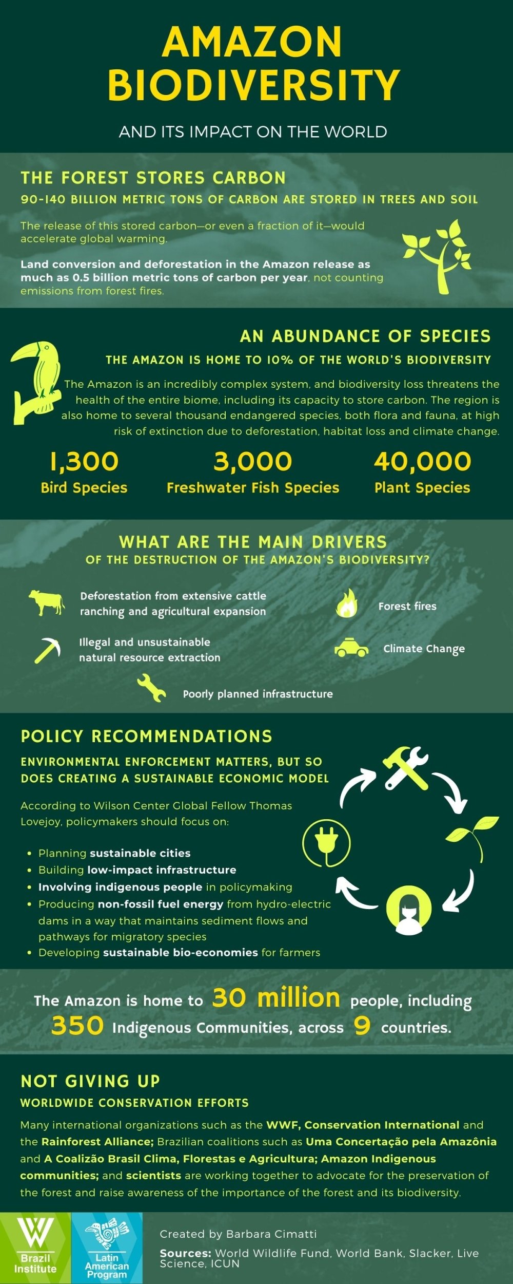 Image - BI infographic - Amazon Biodiversity 2021