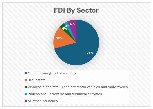 Graph showing foreign direct investment by sector