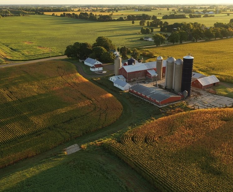 US Agriculture Image