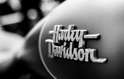 Harley Davidson Logo
