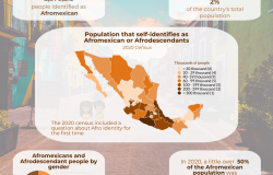 Infographic: Afrodescendants in Mexico