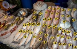 radioactive fish 