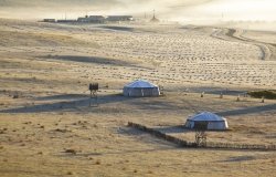 Chinese Grassland